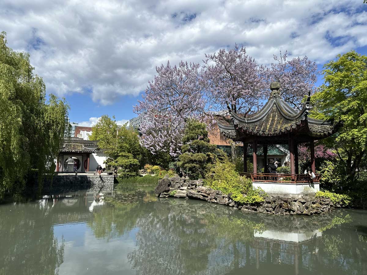 Scenic pond and pavilion at Dr. Sun Yat-Sen Garden.