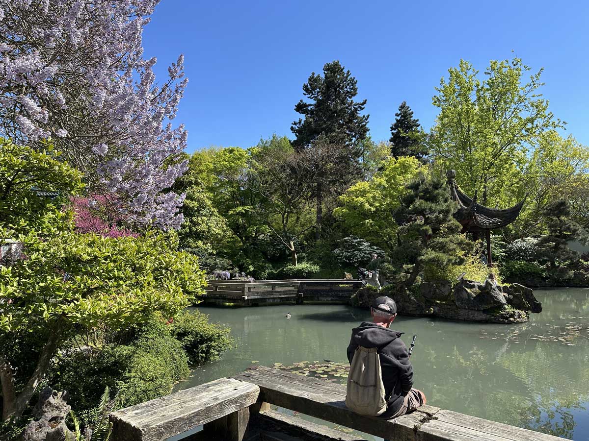 Man sitting by the pond at Sun Yat-Sen Garden.