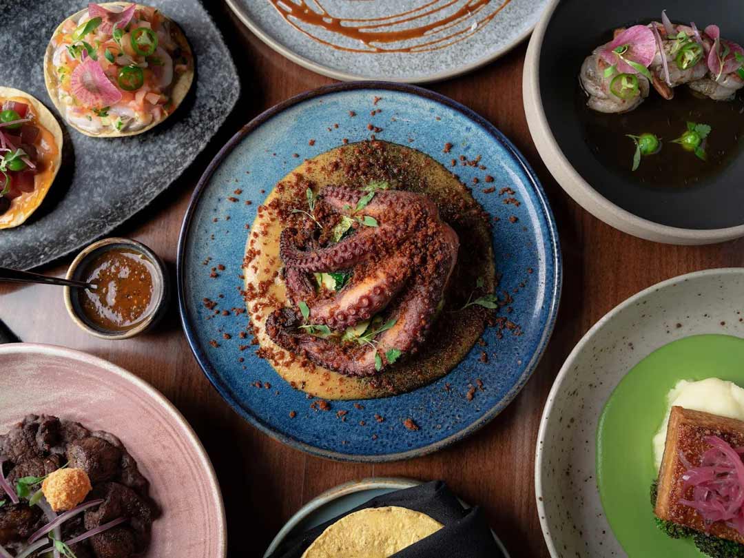 Colorful spread of Mexican dishes with octopus & tostadas.