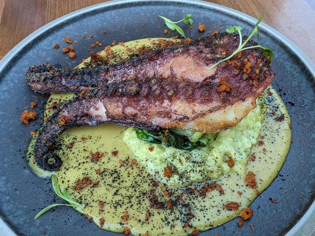 Grilled octopus served over creamy green risotto.