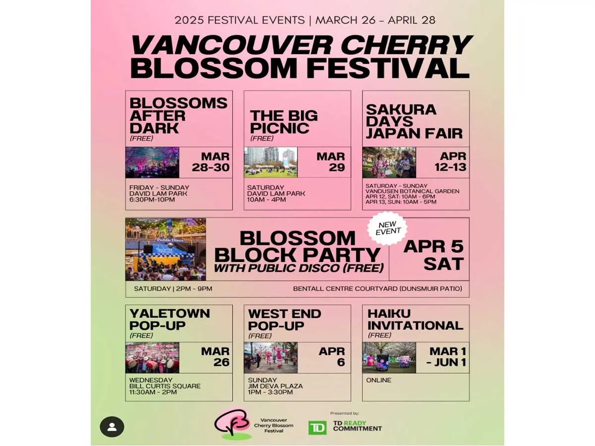 Cherry Blossoms in Vancouver: History, Festivals & Best Spots
