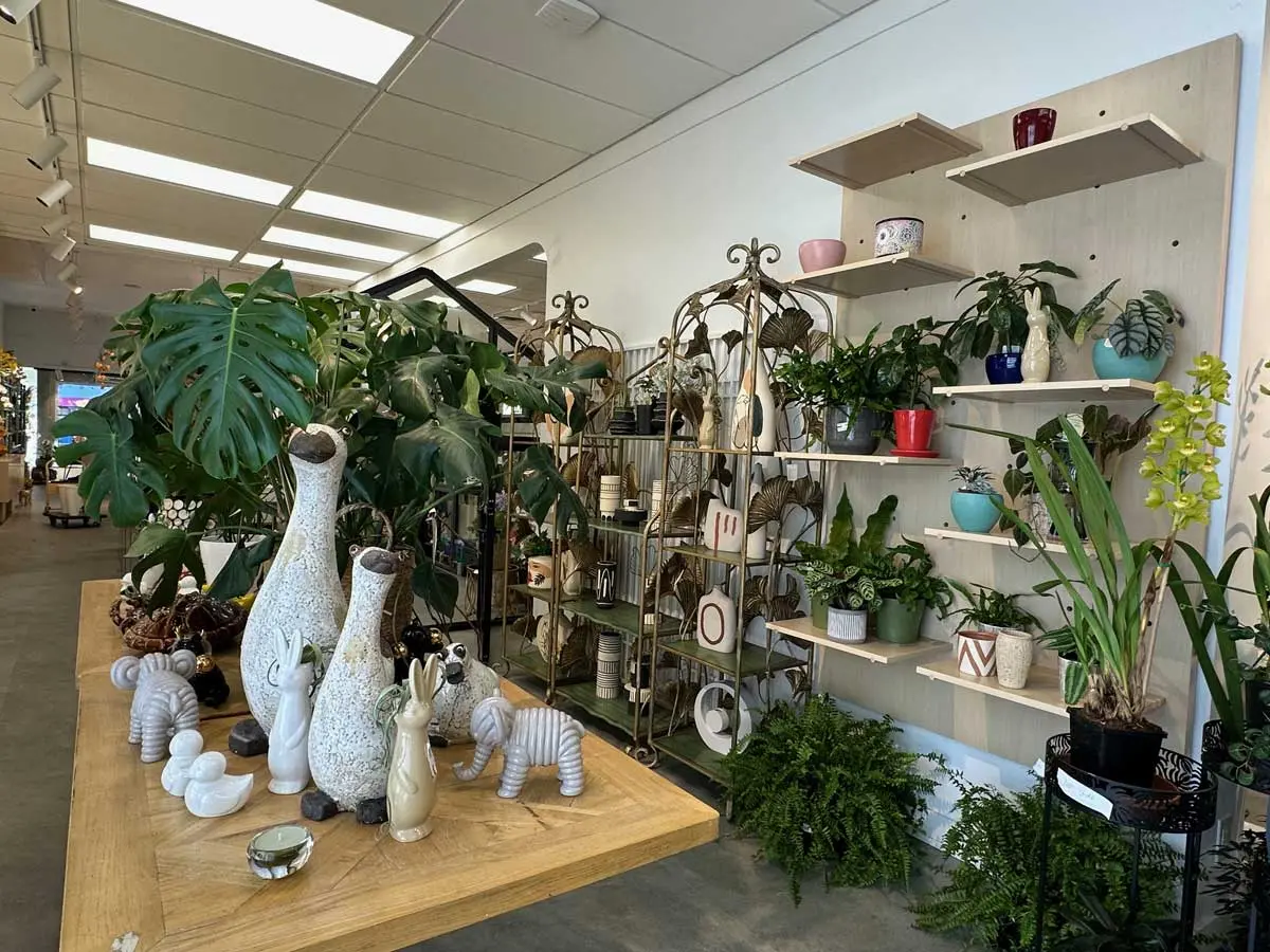 Dajue Garden & Flowers (Best Florist in Vancouver)