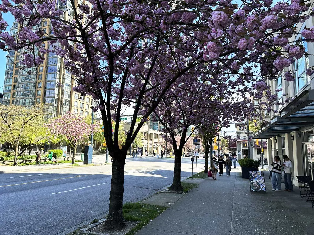 Davie Village Vancouver (Davie Street)