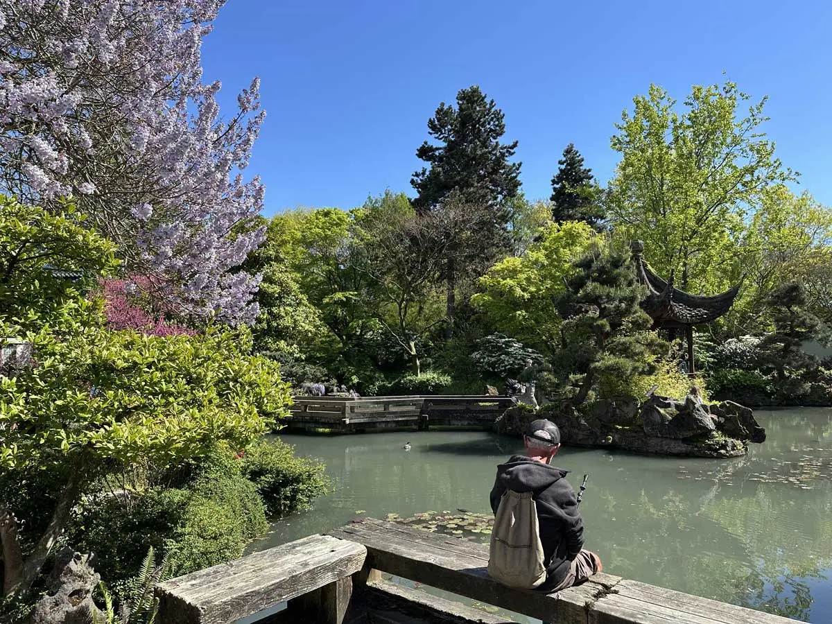 Dr. Sun Yat Sen Classical Chinese Garden in Vancouver